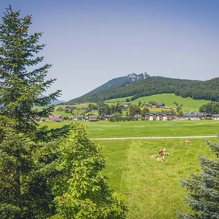 Haus Lemmerer Gmunden
